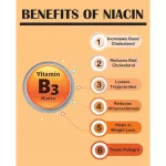 Twenty First Century Niacin Prolonong Relon 500 mg 100 Tablets 21st Century®