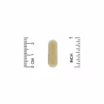 สารสกัดจากเห็ดปุยฝ้าย Lion's Mane Full Spectrum Organic Certified 90 Veggie Capsules California Gold Nutrition®