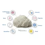 สารสกัดจากเห็ดปุยฝ้าย Lion's Mane Full Spectrum Organic Certified 90 Veggie Capsules California Gold Nutrition®