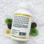 สารสกัดจากเห็ดปุยฝ้าย Lion's Mane Full Spectrum Organic Certified 90 Veggie Capsules California Gold Nutrition®