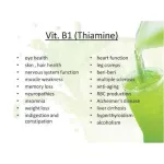 Vitamin B1 Vitamin B-100 MG 100 Tablets Now Foods®