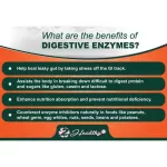 6 digestive enzymes, Digesttive Enzymes 60, 21st Century® capsule
