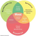 ผลิตภัณฑ์เสริมอาหาร เอส อะดีโนซิล เมไทโอนีน SAMe S-Adenosyl-Methionine 400 mg 30 Enteric Coated Tablets Life Extension® SAM-e