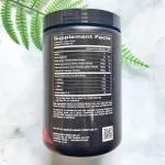 BCA & Electric Salt for BCAA & ELECTROLYTES 435 G Sierra Fit®