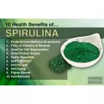 Spirulina Organic Organic Spirulina, USDA Certified 500 mg 60 Tablets California Gold Nutrition®