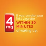 Nicore Gum Coated for Bold Flavor 4 mg 160 or 180 Pieces, Fruit Chill Nicorette® Fruit flavor