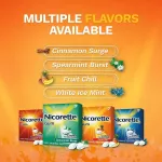Nicore Gum Coated for Bold Flavor 4 mg 160 or 180 Pieces, Fruit Chill Nicorette® Fruit flavor