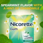 Nicore Gum Coated for Bold Flavor 2 mg 160 Pieces, Spearmint Burtte Nicorette® Spencein Nicore