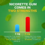 Nicore Gum Coated for Bold Flavor 2 mg 160 Pieces, Spearmint Burtte Nicorette® Spencein Nicore