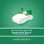 Nicore Gum Coated for Bold Flavor 2 mg 160 Pieces, Spearmint Burtte Nicorette® Spencein Nicore