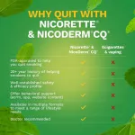 Nicore Gum Coated for Bold Flavor 2 mg 160 Pieces, Spearmint Burtte Nicorette® Spencein Nicore