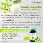 Set of great value for Herbal One Anshee, Makhampom Extract 60, Capsules, Vitamin C supplement