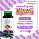 Herbal One Ocoberry เฮอร์บัล วัน โอโคเบอร์รี่ อ้วยอันโอสถ 60 เม็ด ขายดีตลอดกาล