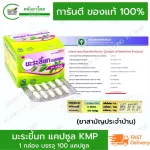 มะระขี้นกแคปซูล KMP 100 แคปซูล พร้อมส่ง สามัญประจำบ้าน