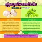 Set คู่ x2  Herbal One Garlic oil กระเทียมสกัดแคปซูล เสริมภูมิคุ้มกัน ลดไขมันในเลือด ลดความดัน บำรุงหัวใจ อ้วยอันโอสถ