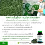 Set Double x2 Spirulina Spirulina Seaweed, Gold, Anemo / Herbal One 100 capsules / bottles