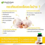 Set คู่ x2  Herbal One Garlic oil กระเทียมสกัดแคปซูล เสริมภูมิคุ้มกัน ลดไขมันในเลือด ลดความดัน บำรุงหัวใจ อ้วยอันโอสถ