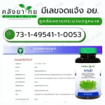 Herbal One อ้วยอัน พรมมิ Bacopa เสริมความจำ ป้องกันอัลไซเมอร์ 60 แคปซูล