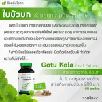 Centella asiatica extracted capsule Extracting from Centella asiatica Anshee Herbal Day 60, Genuine Capsules