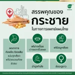 Khaolaor Krachai Plus, white krachai mixed with beta glucan from yeast 30/60 capsule/bottle