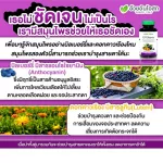 Herbal One Ocberry Eye Pack