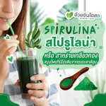Set Double x2 Spirulina Spirulina Seaweed, Gold, Anemo / Herbal One 100 capsules / bottles
