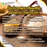 Set คู่ x2  Herbal One Garlic oil กระเทียมสกัดแคปซูล เสริมภูมิคุ้มกัน ลดไขมันในเลือด ลดความดัน บำรุงหัวใจ อ้วยอันโอสถ