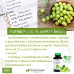 Set of great value for Herbal One Anshee, Makhampom Extract 60, Capsules, Vitamin C supplement