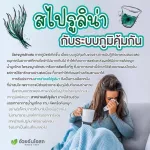 Set Double x2 Spirulina Spirulina Seaweed, Gold, Anemo / Herbal One 100 capsules / bottles