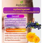 Herbal One Ocberry Eye Pack