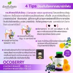 Herbal One Ocoberry เฮอร์บัล วัน โอโคเบอร์รี่ อ้วยอันโอสถ 60 เม็ด ขายดีตลอดกาล