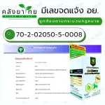 White Krachai extracted Krachai extract 1 bottle of Finger Root Extract KMP.