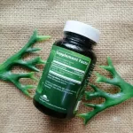 วิตามินดี 3 Vegan Vitamin D3 5,000 IU 60 Vegan Capsules MRM® D-3 D 3