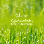 Doctor, Mor, Herbal, Hemorrhoids, 1 bottle 100 capsules, free delivery