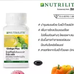Amway Nutrilite นิวทริไลท์ กิงโก พลัส บำรุงสมอง ป้องกันโรคอัลไซเมอร์ Gingo Plus  บรรจุ 100 แคปซูล สินค้าแท้จากช้อปไทย**