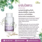 Herbal Herbal Herb Herb, Herbal Design, Kidney Adjustment, Rideline, Diabetes, 1 Kidney, 100 Capsules, Free Delivery