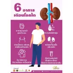 Herbal Herbal Herb Herb, Herbal Design, Kidney Adjustment, Rideline, Diabetes, 1 Kidney, 100 Capsules, Free Delivery