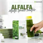 Narah Narah Alfalfa Juice Powder Pro 5+2 Powers, Alfa, Fresh, Fresh, Powder with Chlorophyll, helps detoxify the skin, clear skin.