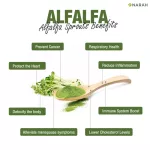 Narah Narah Alfalfa Juice Powder Pro 5+2 Powers, Alfa, Fresh, Fresh, Powder with Chlorophyll, helps detoxify the skin, clear skin.