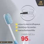 The spicy toothbrush, the spa Model Men Anti Baek