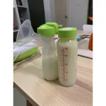 Ardo Calypso Double Plus Automatic Pump