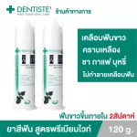 2 pieces of Dentiste 'Premium White Toothpaste Pump, 120 grams, white toothpaste, white teeth, Denthe Ten Pump Bottle