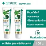 แพ็ค 2 Dentiste' Premium Care Toothpaste Tube ยาสีฟันสูตรพรีเมี่ยมแคร์ ปรับสมดุลแบคทีเรีย หลอด100กรัม เดนทิสเต้
