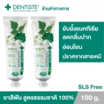 แพ็ค 2 Dentiste 100% Natural Toothpaste Tube100GM ยาสีฟัน สูตรธรรมชาติ 100% ปราศจากเคมี อ่อนโยน แบบหลอด เดนทิสเต้