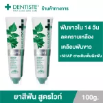 แพ็ค 2 Dentiste' Premium & Natural White Toothpaste 100g. ยาสีฟัน สูตรฟันขาว เติมเต็มผิวฟันให้ขาว ด้วย NHAP แคลเซียมจากธรรมชาติ