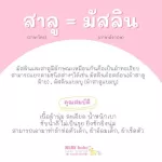 Mimibabe ผ้าอ้อมสาลู 21"x21" สีขาวล้วน แพ็ค6ชิ้น