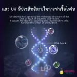 Ready to deliver UV and 6 in 1 kivy dryer BT2002 Size 19L. Product of Italy.