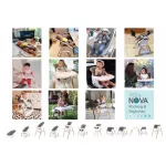 Tutti Bambini Nova Rocker & Highchair เปลโยกเด็ก เก้าอี้ทานข้าวเด็ก ปรับได้ 11 แบบ