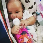 Mister Fox Plus Mister Fox Plus Packing 20 bags