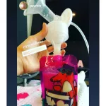 Mister Fox Plus Mister Fox Plus Packing 20 bags